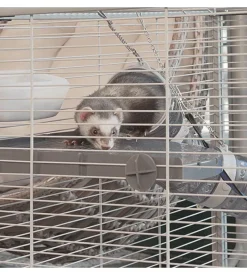Gabbia per furetti su due piani 