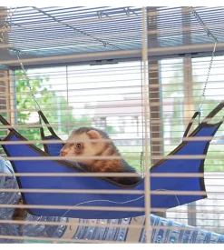 Gabbia per furetti su due piani 