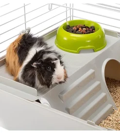 Gabbia per porcellini d'india "cavie 80", 77x48x42 cm grigio - ferplast