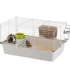 Gabbia per porcellini d'india 