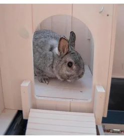 Gabbia per porcellini d'india e conigli  