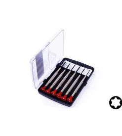 Giraviti di precisione torx 6 pz.