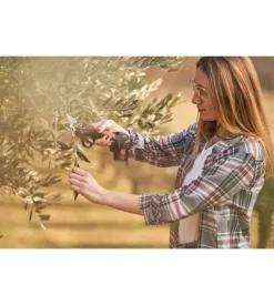 Kit forbice "ps 23-25faster" e potatore "cs 22-04" blue bird con 3 batterie 12,6v 2,5ah