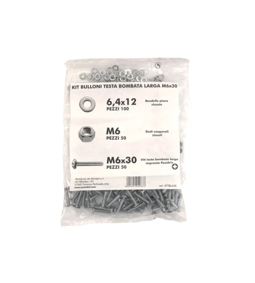 Kit viti testa bombata larga ø 6 x 30 + dadi + rondelle - 200 pz.