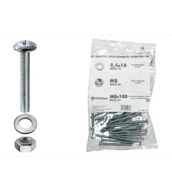 Kit viti testa bombata larga ø 8 x 100 + dadi + rondelle - 100 pz.