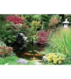 Laghetto artificiale da 1000 litri - verdemax 8610