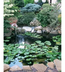 Laghetto artificiale da 1000 litri - verdemax 8610