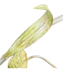 Lampadario 3 luci onli "wilma" bianco e14