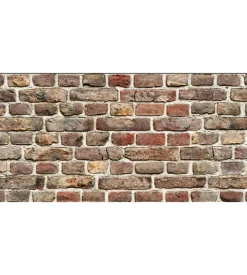 Lastra decorativa in polipropilene con stampa effetto brick, 100x50 cm