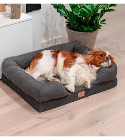 Lettino ortopedico per cani ferplast "memor-one" tg m