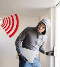 Mini allarme velam con rilevatore di presenza e 2 telecamere