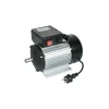 Motore elettrico 2 cv monofase 2750 g/min con interruttore - ribimex.