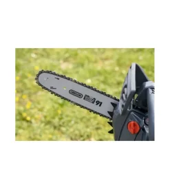 Motosega da potatura ama 