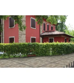 Muro di siena beige 31x62 scat. 1.35mq