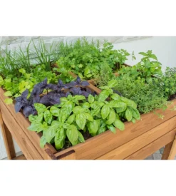 Orto da esterno in legno apple small, 80x80 cm