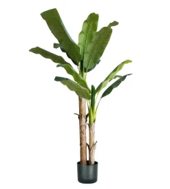 Pianta di banano in polietilene, 170 cm