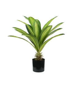 Pianta di dracaena in polietilene con 19 foglie, 60 cm