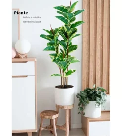 Pianta di ficus elastica in polietilene con 54 foglie, 145 cm