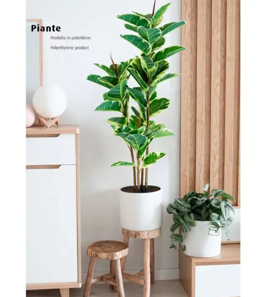 Pianta di ficus elastica in polietilene con 54 foglie, 145 cm