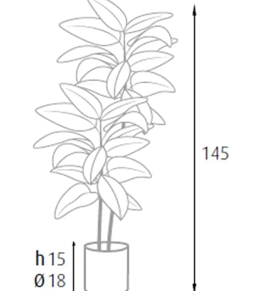 Pianta di ficus elastica in polietilene con 54 foglie, 145 cm