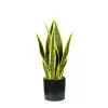Pianta di sansevieria in polietilene con 12 foglie, 45 cm