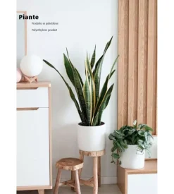 Pianta di sansevieria in polietilene con 21 foglie, 75 cm
