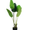 Pianta strelitzia in polietilene con 5 foglie, 100 cm