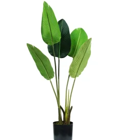 Pianta strelitzia in polietilene con 5 foglie, 100 cm