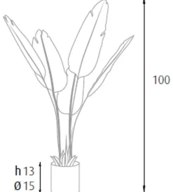 Pianta strelitzia in polietilene con 5 foglie, 100 cm