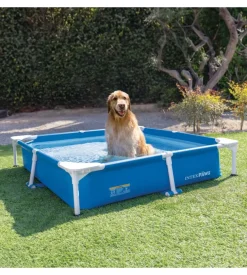 Piscina quadrata per cani intex blu 152x152x30 cm - cod. 48402np