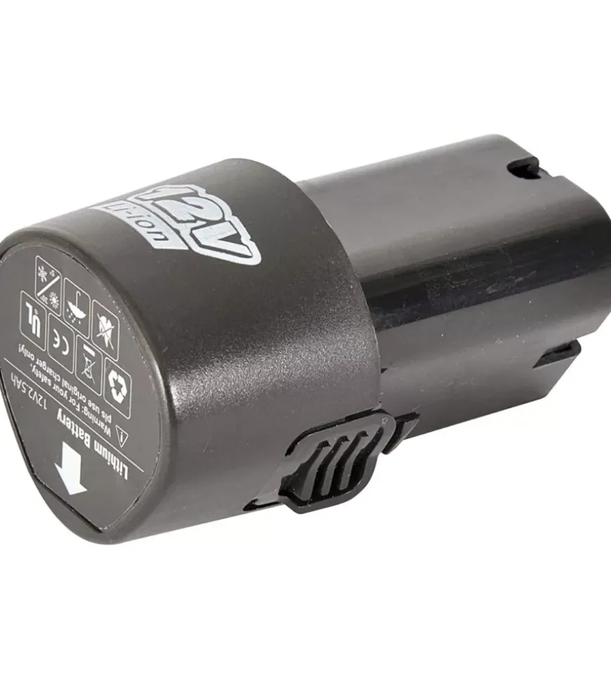 Pompa a zaino a batteria "futura" 12 litri - verdemax