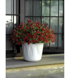 Portavaso mimosa d. 15 b.co