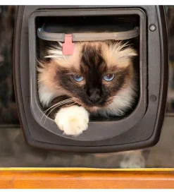 Portina per gatti ferplast "microchip" con chiusura 4 vie e protezione aria in plastica marrone 22,5x16,2x25,2 cm