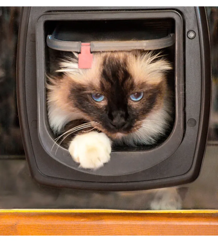 Portina per gatti ferplast "microchip" con chiusura 4 vie e protezione aria in plastica marrone 22,5x16,2x25,2 cm