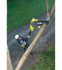 Potatore a catena telescopico a batteria ryobi 