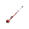 Potatore a catena telescopico a scoppio bluebird "ptt 261" barra 34,2 cm 2t 25,4cc
