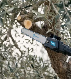 Potatore a catena telescopico a batteria campagnola 