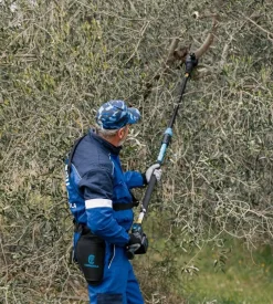 Potatore a catena telescopico a batteria campagnola 