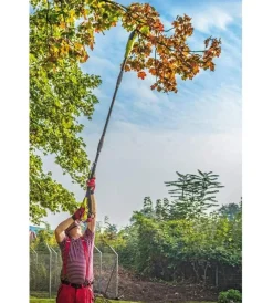 Potatore a catena telescopico elettrico ryobi