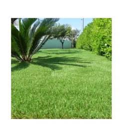 Prato sintetico verde "superior" 30 mm 2x5 m