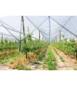 Rete antigrandine 2x20 metri