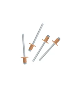 Rivetti rivestiti in rame 4,8x 12 - 1 kg.