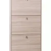 Scarpiera olmo con 3 ante, 63x18x117 cm
