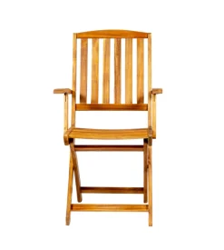 Sedia da esterno pieghevole con braccioli  eurogarden "navis" in legno di acacia 56x53,5x96 cm