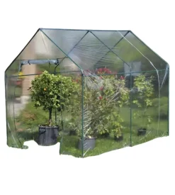 Serra da giardino verdemax "narciso" 185x240x205 cm