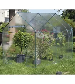 Serra da giardino verdemax "narciso" 185x240x205 cm