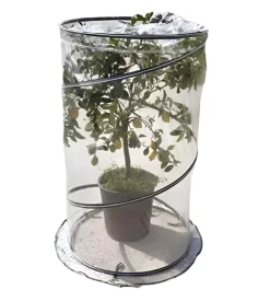 Serra per pianta verdemax "pop up citrus" 90x150 cm