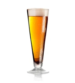 Set 2 bicchieri per birra brunner 