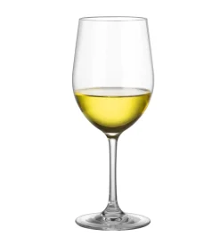 Set 2 bicchieri per vino brunner "white wineglass" in policarbonato 30 cl