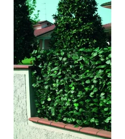 Siepe artificiale essenza in pvc con foglie lauro e rete ombreggiante 300x100 cm